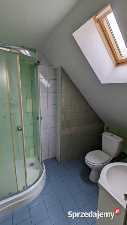 Do wynajęcia lokal użytkowy 4742 m2 OpoleWinów Ilość pomieszczeń 4 Opole