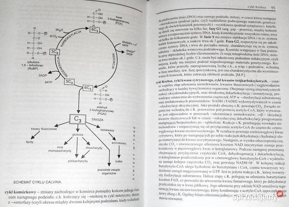 Słownik szkolny Biologia M Popielarska R Chełm