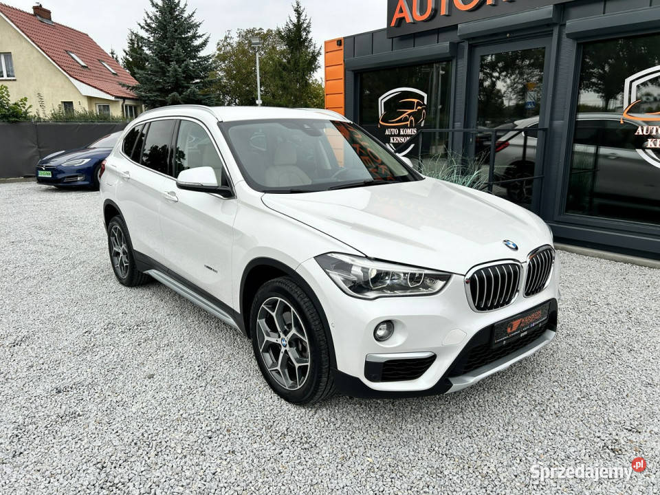 BMW X1 LED Klima Navi Temp Kamera Cofania VAT marża