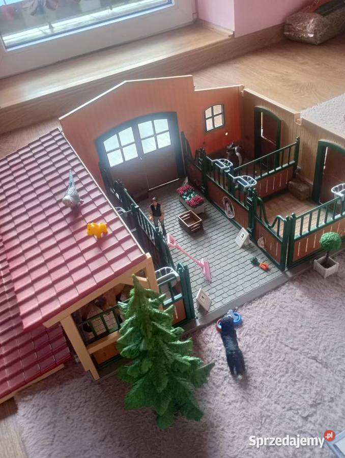 Duża stajnia koni 6 lat+ Zgierz