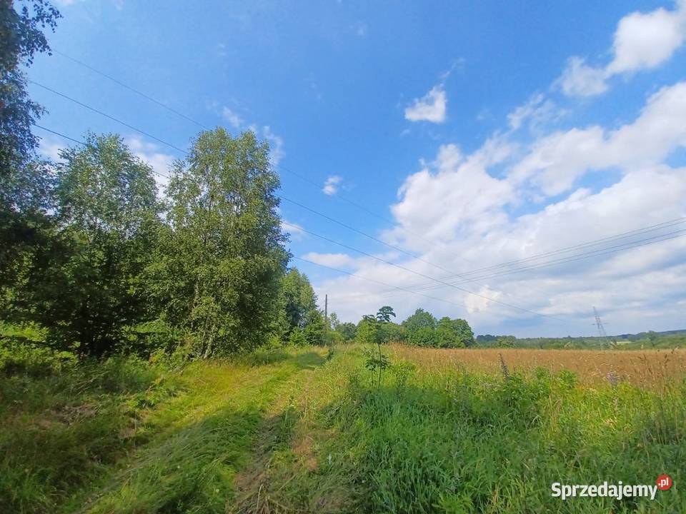 Działka budowlana Kołtki