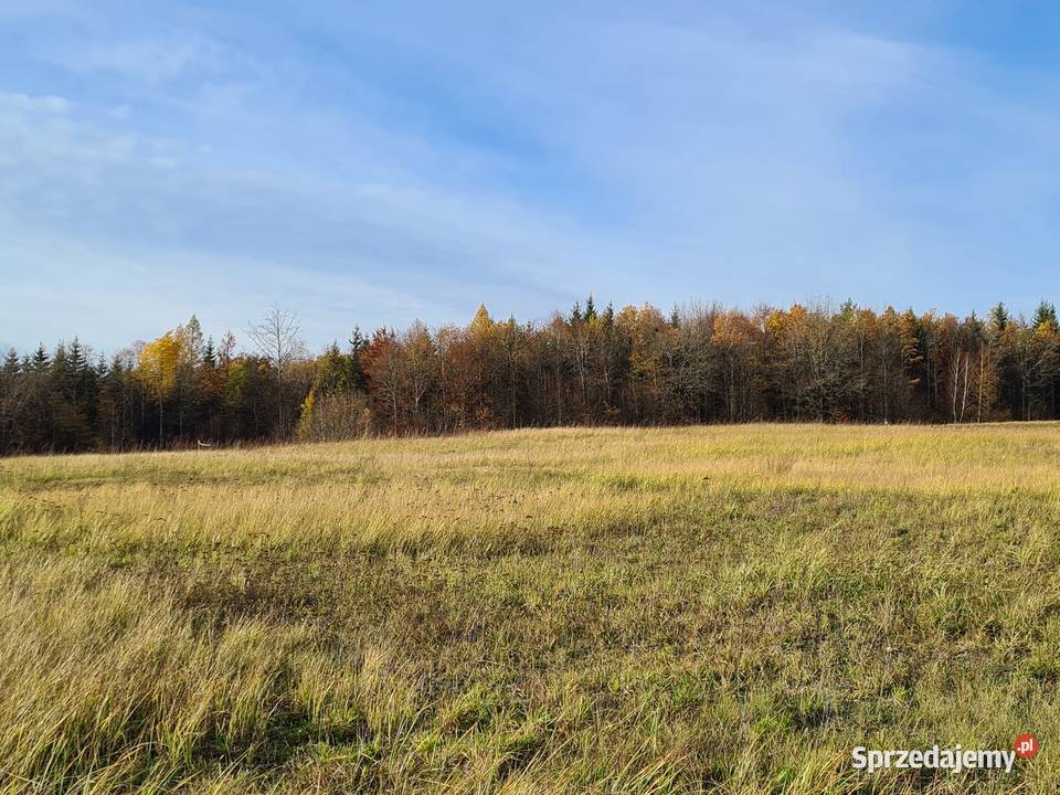 Tania działka budowlana jeziorem
