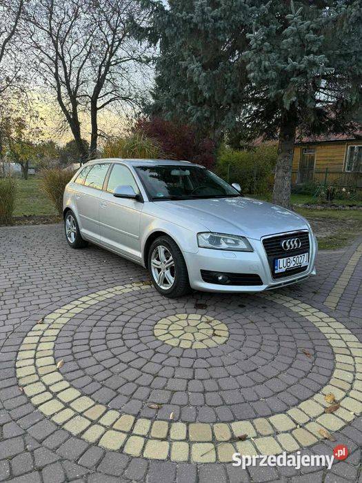 Audi a3 8p lift 20tdi