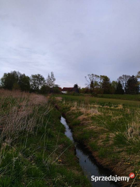 Działka budowlana z dostępem do linii brzegowej Lesiska sprzedam
