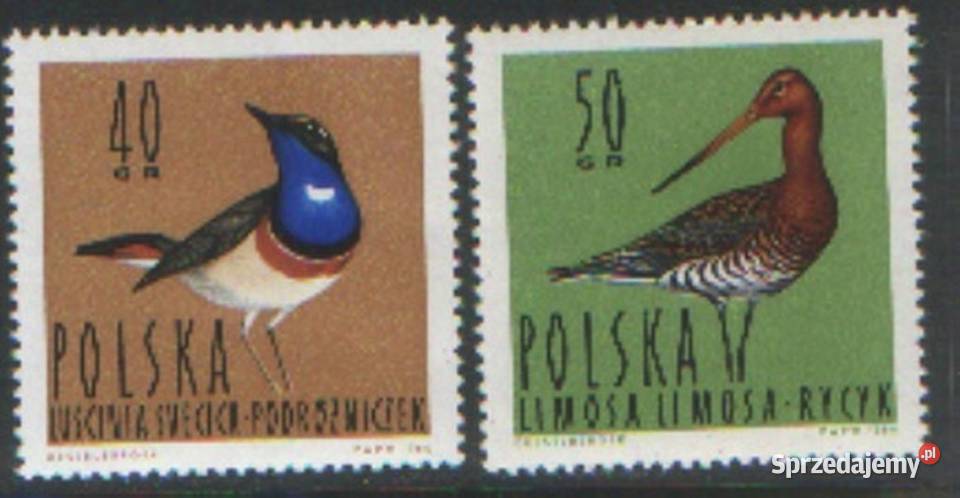 Zn Fi 1343 4 1964 Gliwice