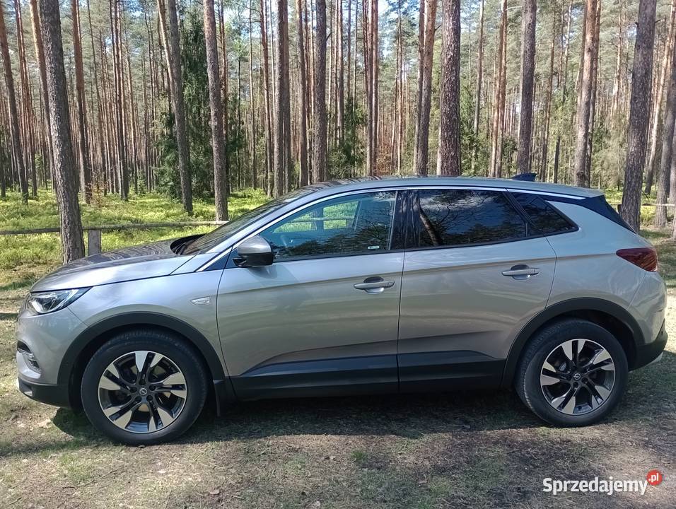 Opel Grandland X pierwszy właściciel mały Tarnowskie Góry