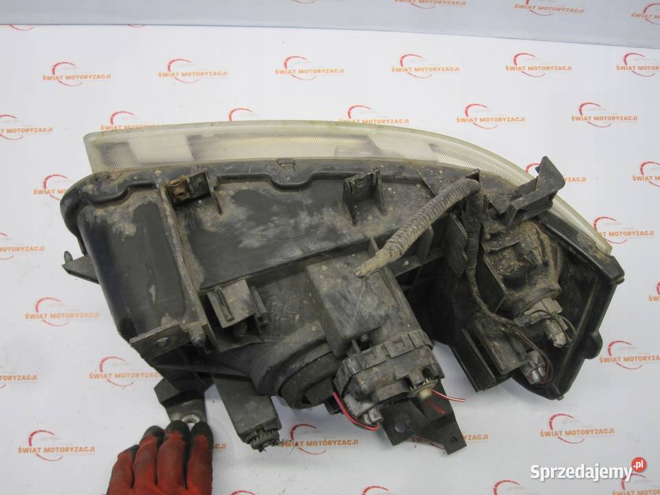 FORD RANGER IV 07r lampa prawa przód UR8751040 świętokrzyskie Kielce sprzedam