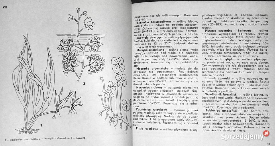 Akwarium i jego mieszkańcy Mirosław Huszcz Chełm