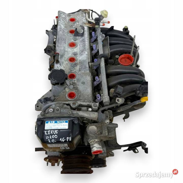 SILNIK 1GFE Lexus IS200 IS 200 20 VVTI 24V 1G Chełm sprzedam