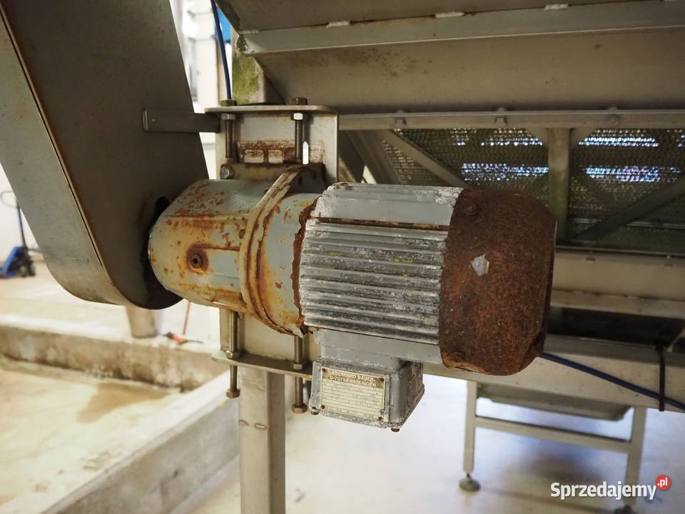 Myjka do warzyw z podnoszoną taśmą wielkopolskie