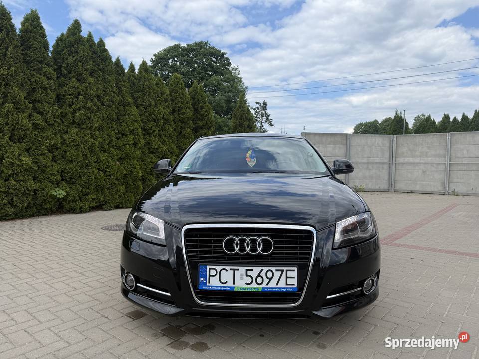Audi a3 8p 20 TDI 140 koni bez wkładu diesel wielkopolskie Krzyż Wielkopolski
