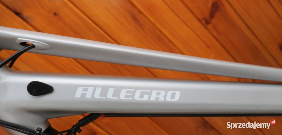 Rower elektryczny Allegro D 48 i inne rowery Milanówek