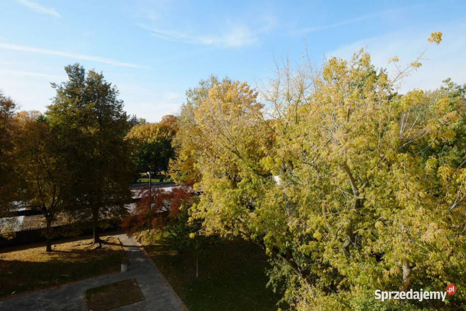 wynajmu mieszkania 4143m2 2 pokoje Warszawa