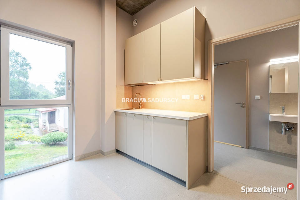 Ogłoszenie lokal 374m2 Kraków małopolskie