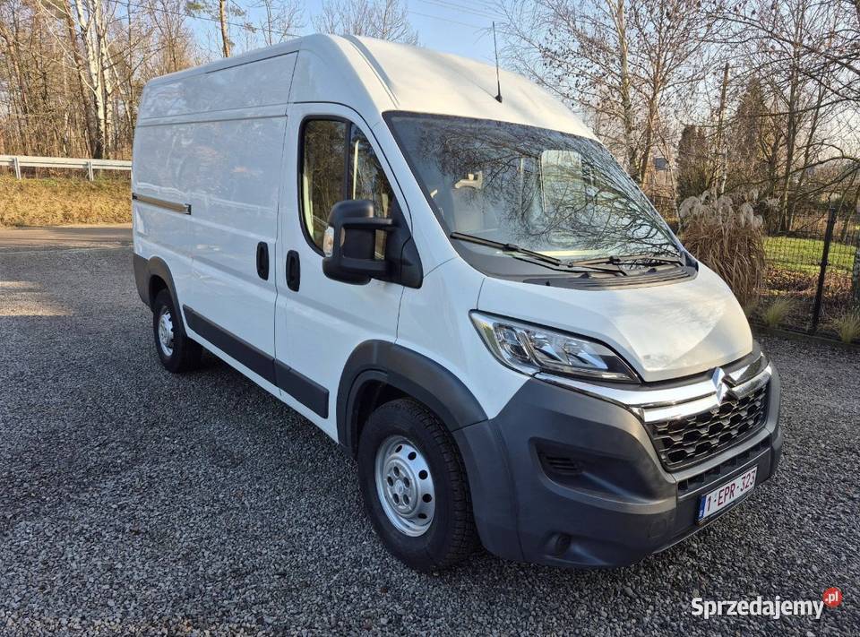 Citron Jumper Super Stan Faktura Gwarancja