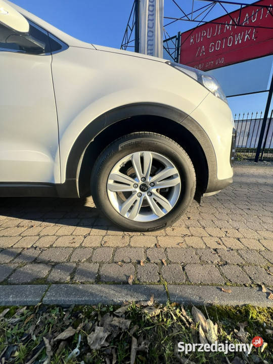 Kia Sportage Zadbana dobrze wyposażona IV wielofunkcyjna kierownica Słupsk