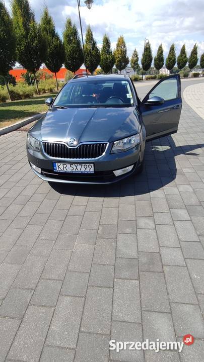Skoda Octavia Ambiente szary małopolskie
