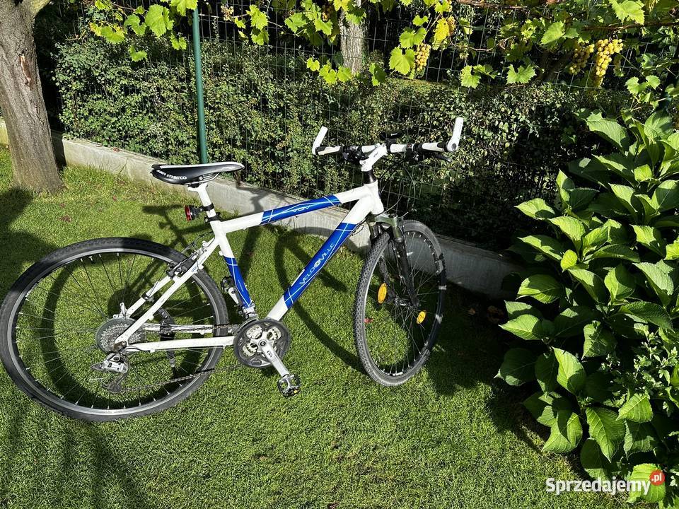 Rower sportowy Velo de Ville Wrocław