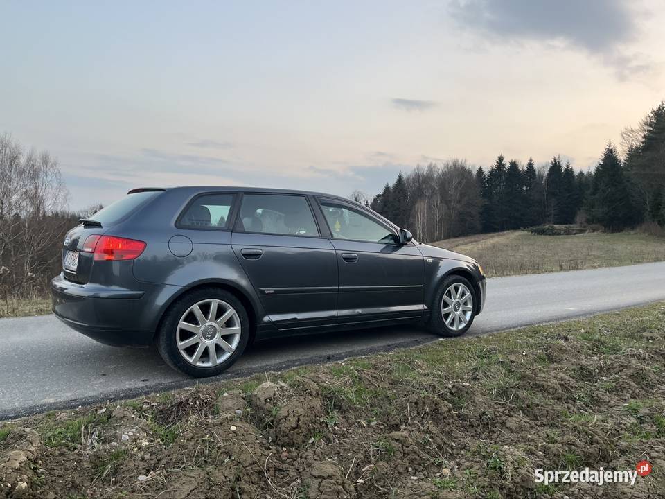 Audi A3 8P Sline 19 TDI 4/5 Tarnów