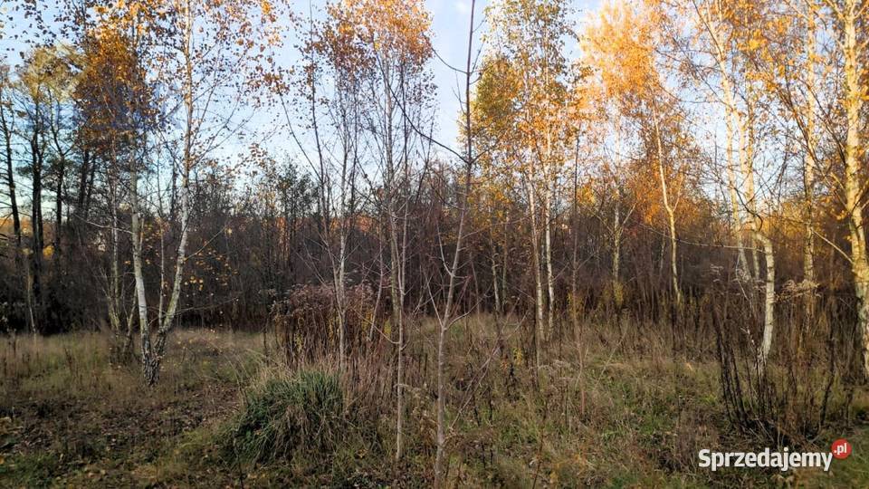 Sprzedam działkę budowlaną z dostępem do rzeki w budowlana mazowieckie
