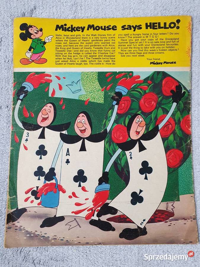 Disneyland komiks w jęz angielskim z 1973 roku Komiksy pomorskie Gdynia