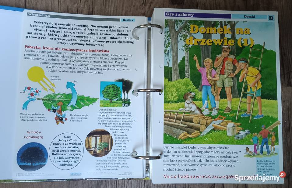 Leśne przygody karty z albumu DeAgostini Poradniki, albumy i reportaże