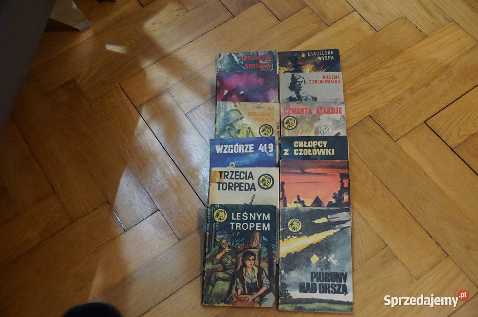 Seria Żółty Tygrays śląskie Bielsko-Biała