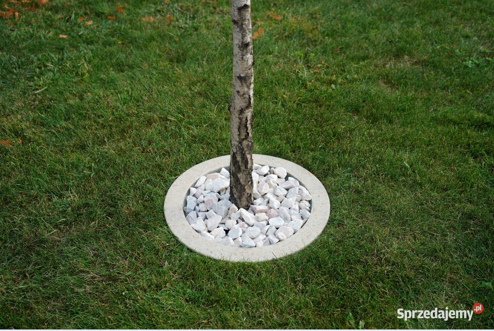 Obrzeże trawnikowe wokół drzew śr 70 Dębica sprzedam