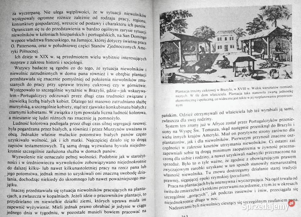 Niewolnictwo Iza BieżuńskaMałowist Marian Rok wydania 1987 lubelskie Chełm