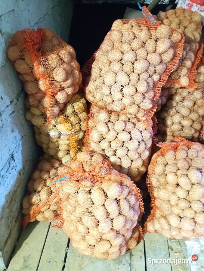 ZIEMNIAKI odm Gala Prosto Rolnika Jadalne śląskie Golasowice sprzedam