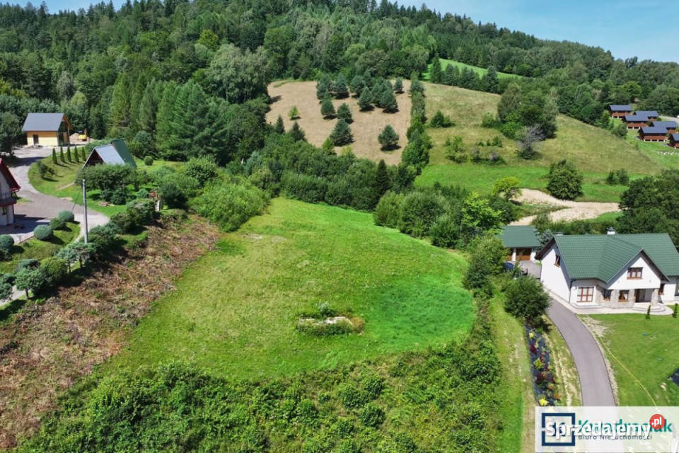 sprzedaży działki 7013m2 Bukowiec sprzedam