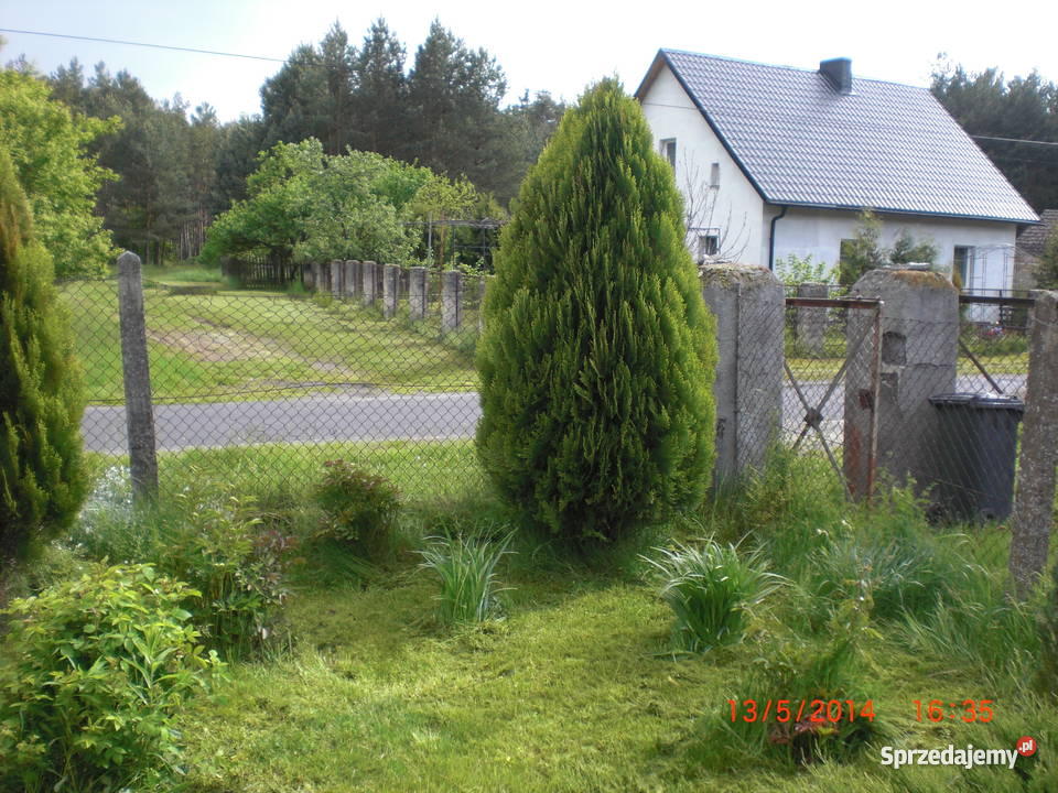 Pięknie położony dom jednorodzinny Jemielno