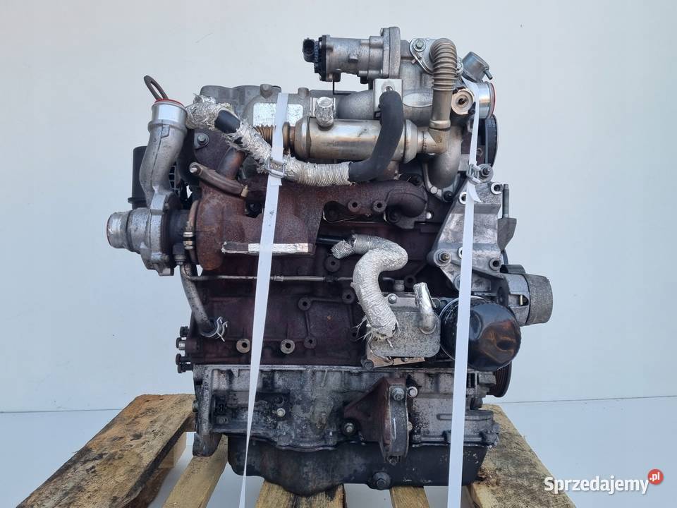 SILNIK KOMPLETNY Ford Transit Connect 18 TDCI 75 Chełm