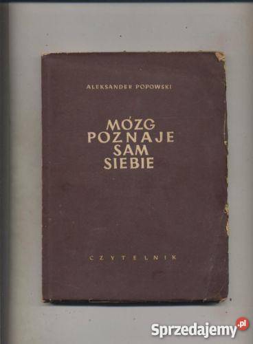 Mózg poznaje sam siebie zachodniopomorskie Szczecin