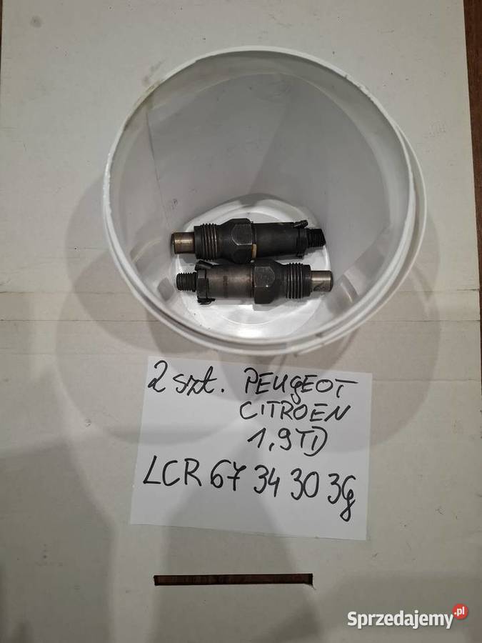 CITROEN PEUGEOT 19 wtrysk wtryskiwacz Kielce