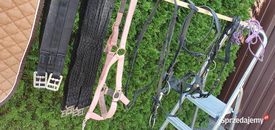 Siodło Zestaw Do Jazdy Konnej Szczebrzeszyn
