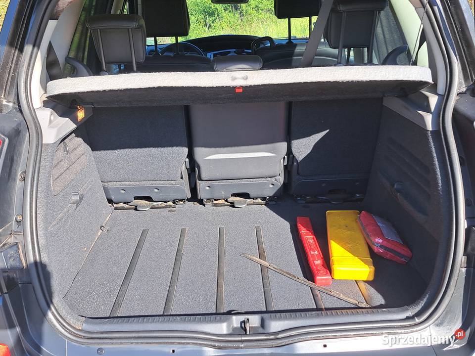 Sprzedam Bładnego Renault Scenic 16 16 benzyna manualna mazowieckie