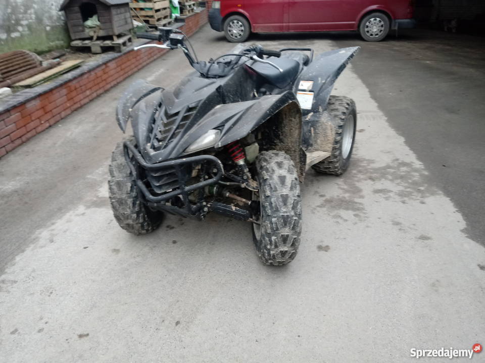 Yamaha Wolverine 450 4x4 Special Edition Jangrot