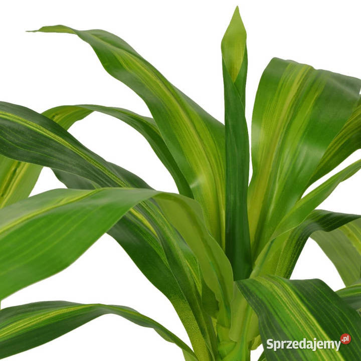 Sztuczna dracena z doniczką 100 zielona WM244451 Warszawa