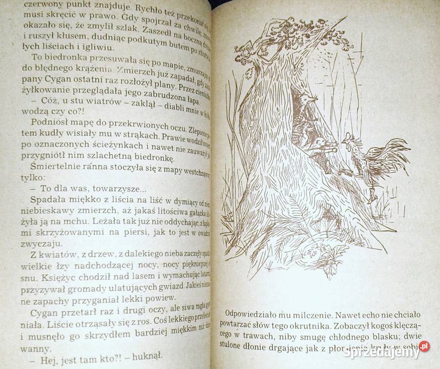 Porwanie w Tiutiurlistanie Wojciech Żukrowski Chełm