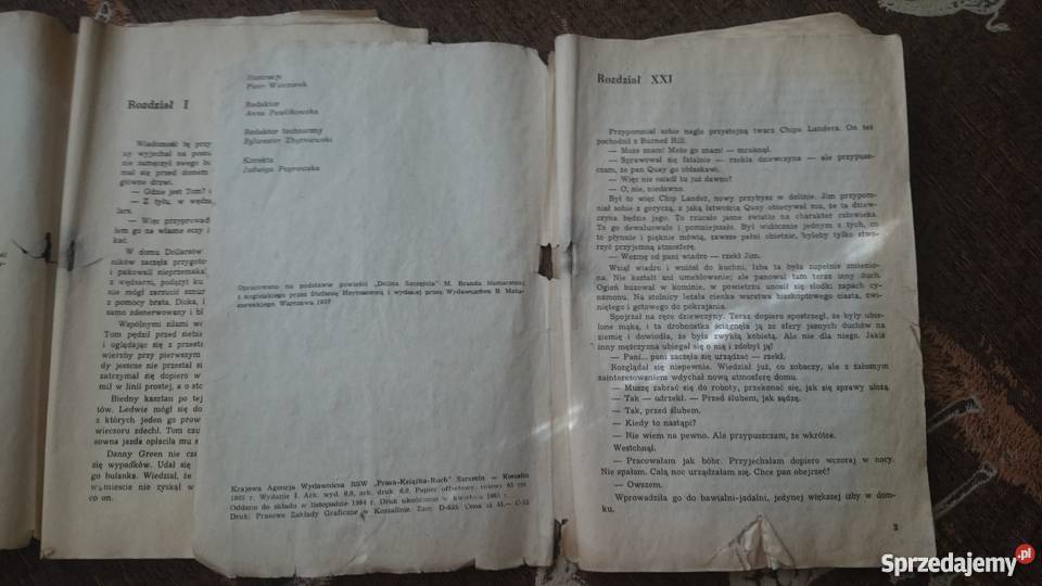 Dolina szczęścia tom 1 i 2 Prasa Książka RUCH Ostrów Wielkopolski