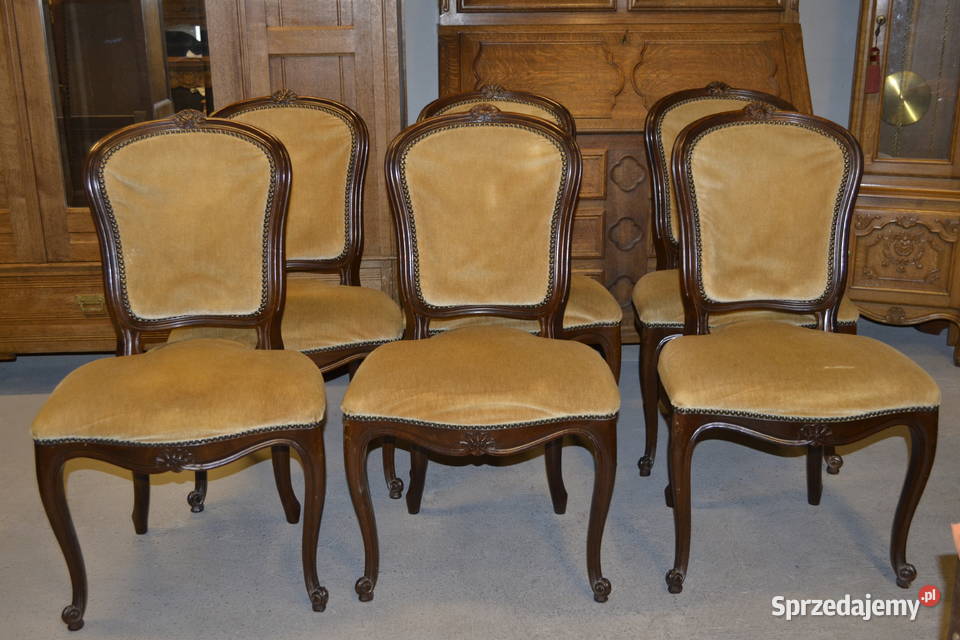 krzesła ludwikowskie ramy ciemny orzech welur Antyki, Sztuka, Kolekcje śląskie Będzin