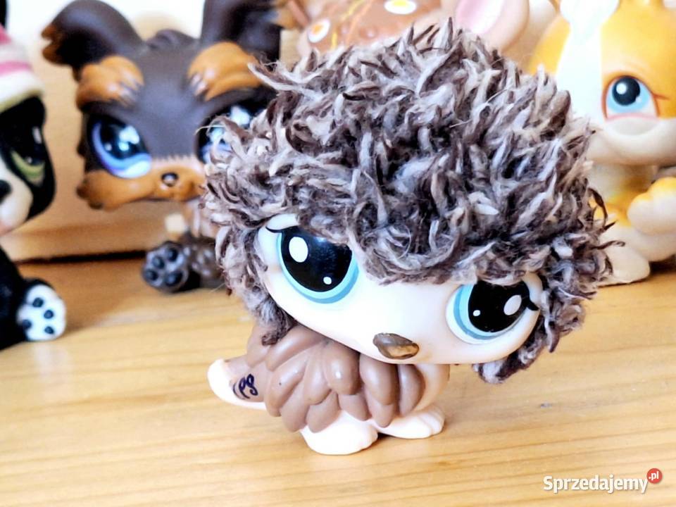 Jeżeli puchaty Littlest Pet Shop brązowy/beżowy Braniewo