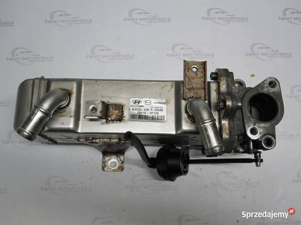 Hyundai Santa Fe 22 CRDI 11r 194 284162F120 Recyrkulacja spalin EGR