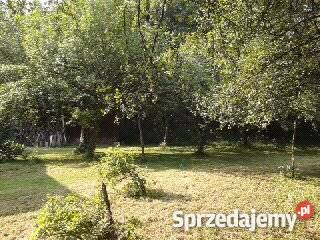 Lesniczówka 55 Krakowa gospodarstwo małopolskie Łomna