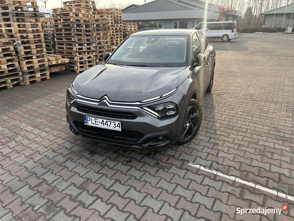 Śliczny bogato wyposażony wielkopolskie Leszno