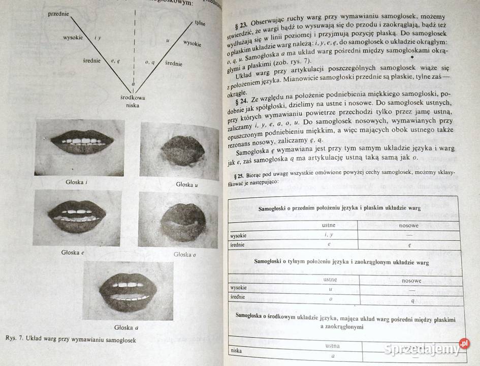 Podręczna gramatyka języka polskiego Michał Chełm