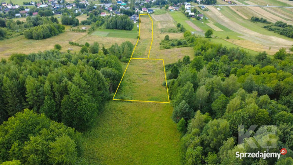 Działka Czaszyn 11684m2