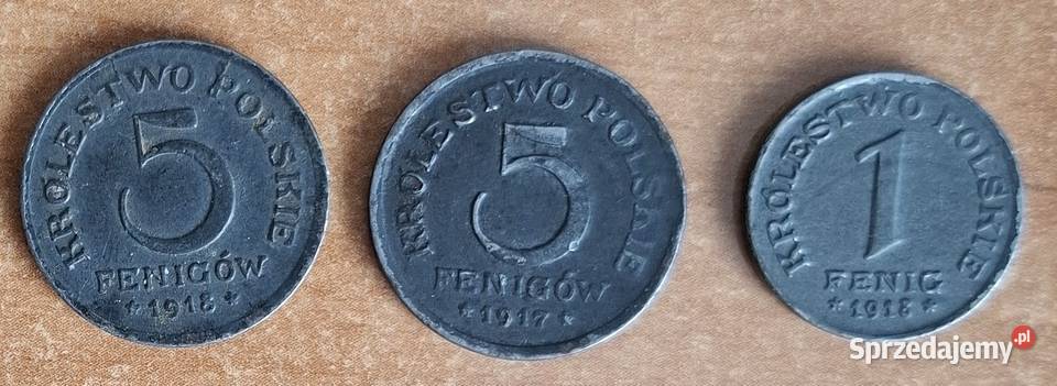 Zestaw Monet Królestwo Polskie Numizmatyka Gliwice