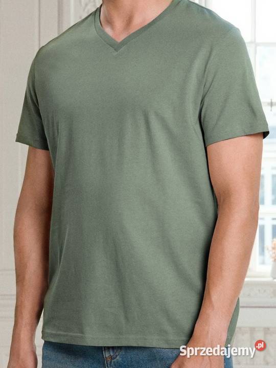 zielony shirt męski Sinsay Odzież codzienna Olkusz